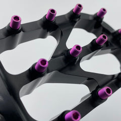 Titanium Elite Foot Peg Screws